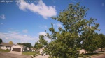 Web Cam Image - Sat, 06/13/2026 9:01am CDT
