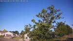 Web Cam Image - Tue, 07/01/2025 12:43am CDT