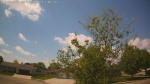 Web Cam Image - Fri, 05/22/2026 1:04pm CDT