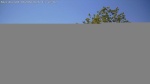 Web Cam Image - Sat, 06/06/2026 12:46pm CDT