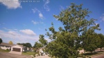 Web Cam Image - Sat, 06/13/2026 8:58am CDT