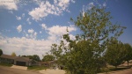 Web Cam Image - Tue, 05/26/2026 11:50am CDT