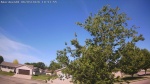 Web Cam Image - Wed, 06/03/2026 10:17am CDT