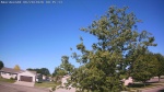 Web Cam Image - Sat, 06/20/2026 8:47am CDT