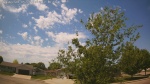 Web Cam Image - Tue, 05/26/2026 11:49am CDT