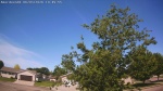 Web Cam Image - Wed, 06/03/2026 10:16am CDT