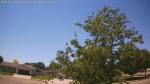 Web Cam Image - Sat, 06/06/2026 12:40pm CDT