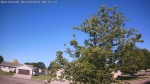 Web Cam Image - Sat, 06/20/2026 8:46am CDT