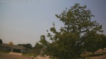 Web Cam Image - Sun, 06/28/2026 11:55am CDT