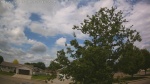 Web Cam Image - Thu, 06/04/2026 10:55am CDT