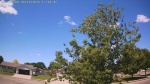 Web Cam Image - Sun, 06/14/2026 11:13am CDT