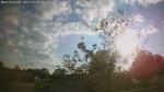 Web Cam Image - Tue, 05/19/2026 7:17pm CDT