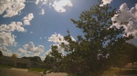 Web Cam Image - Wed, 06/10/2026 3:14pm CDT