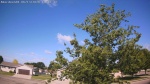 Web Cam Image - Sat, 06/13/2026 8:50am CDT