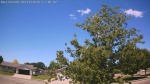 Web Cam Image - Sun, 06/14/2026 11:10am CDT