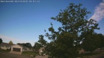 Web Cam Image - Thu, 06/18/2026 7:29am CDT