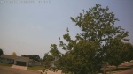 Web Cam Image - Sun, 06/28/2026 11:50am CDT