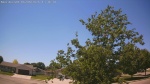 Web Cam Image - Sat, 06/06/2026 12:31pm CDT