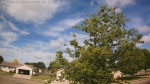 Web Cam Image - Thu, 06/25/2026 8:43am CDT