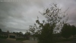 Web Cam Image - Mon, 05/18/2026 5:19am CDT