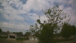 Web Cam Image - Thu, 05/21/2026 10:46am CDT