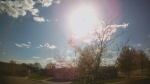 Web Cam Image - Tue, 05/12/2026 5:37pm CDT