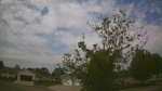 Web Cam Image - Thu, 05/21/2026 10:44am CDT
