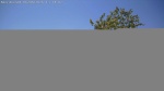 Web Cam Image - Sat, 06/06/2026 12:26pm CDT