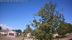 Web Cam Image - Fri, 06/19/2026 8:10am CDT