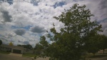 Web Cam Image - Mon, 06/22/2026 1:29pm CDT