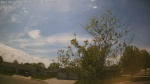 Web Cam Image - Sat, 05/16/2026 3:10pm CDT