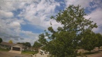 Web Cam Image - Thu, 06/04/2026 10:46am CDT
