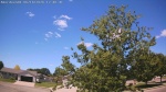 Web Cam Image - Sun, 06/14/2026 11:02am CDT
