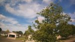 Web Cam Image - Thu, 06/25/2026 8:37am CDT