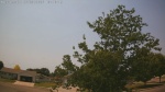 Web Cam Image - Sun, 06/28/2026 11:43am CDT