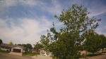 Web Cam Image - Thu, 05/28/2026 10:41am CDT