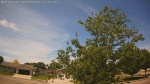 Web Cam Image - Wed, 06/03/2026 11:49am CDT
