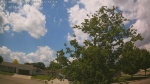 Web Cam Image - Fri, 06/05/2026 12:41pm CDT