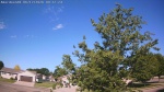 Web Cam Image - Fri, 06/12/2026 8:38am CDT