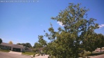 Web Cam Image - Sun, 06/14/2026 12:50pm CDT