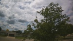 Web Cam Image - Mon, 06/22/2026 1:25pm CDT