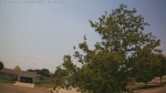 Web Cam Image - Sun, 06/28/2026 11:40am CDT