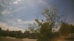 Web Cam Image - Sat, 05/16/2026 3:05pm CDT