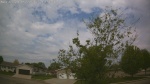 Web Cam Image - Thu, 05/21/2026 10:38am CDT