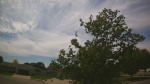 Web Cam Image - Tue, 06/09/2026 2:08pm CDT