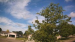 Web Cam Image - Thu, 06/25/2026 8:34am CDT