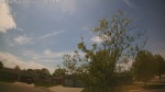 Web Cam Image - Sat, 05/16/2026 3:04pm CDT