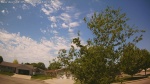 Web Cam Image - Tue, 05/26/2026 11:31am CDT