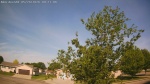 Web Cam Image - Thu, 05/28/2026 8:49am CDT