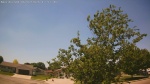 Web Cam Image - Tue, 06/02/2026 12:19pm CDT